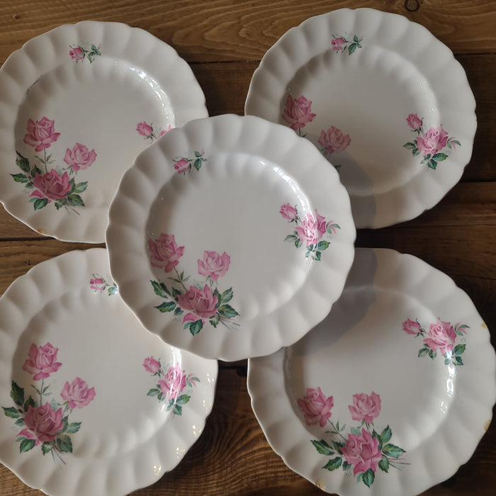 STV33 Johnson Brothers Plate Set