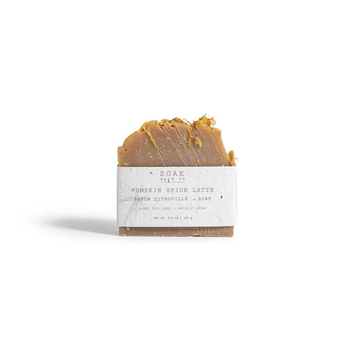 SOAK Bath Co - Pumpkin Spice Soap Bar - Fall Collection