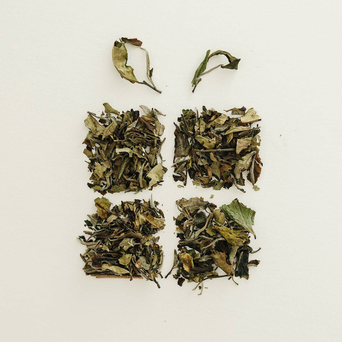 Bush Berry - Organic Nutcracker Loose Leaf Tea: Single